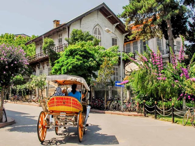 Full Day Princess Island Tour with Lunch