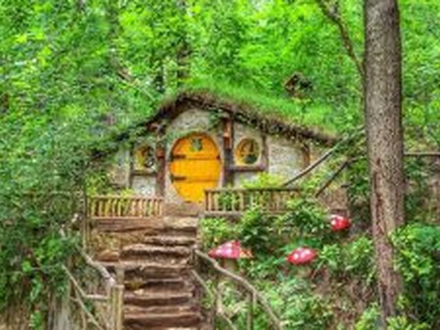 Sapanca & Masukiye Tour From Istanbul